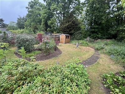 Picture 29
